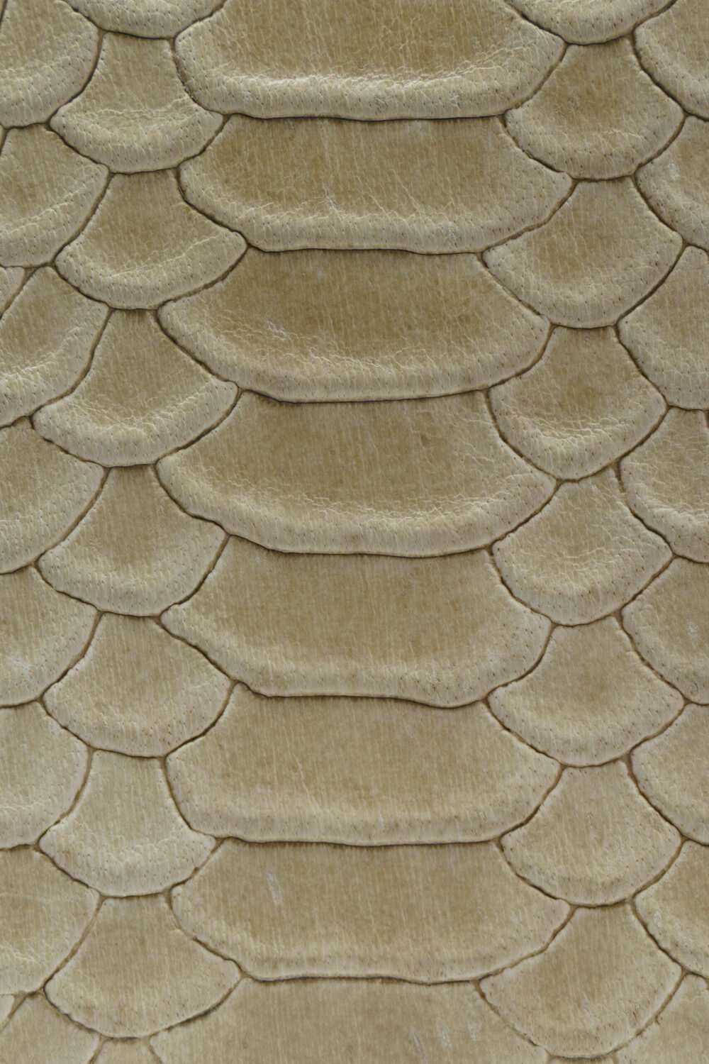 Italian Half Zip Around Cream Purse - Image 5